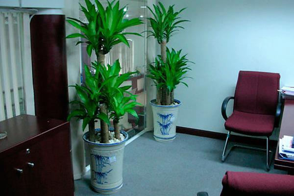 Cách bố trí phòng làm việc